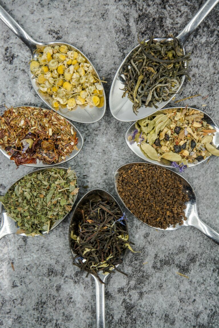 High-Altitude Tea Harvesting: The Ancient Terraces of Darjeeling